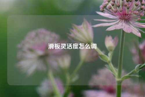 滑板灵活度怎么调