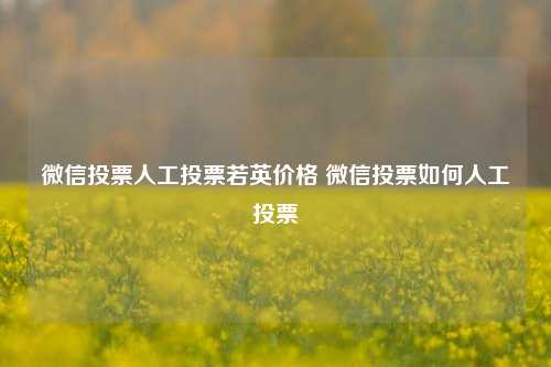 微信投票人工投票若英价格 微信投票如何人工投票