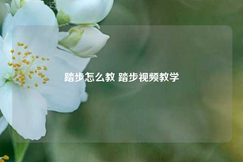 踏步怎么教 踏步视频教学