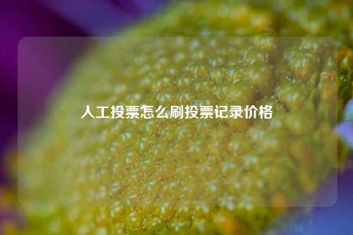 人工投票怎么刷投票记录价格