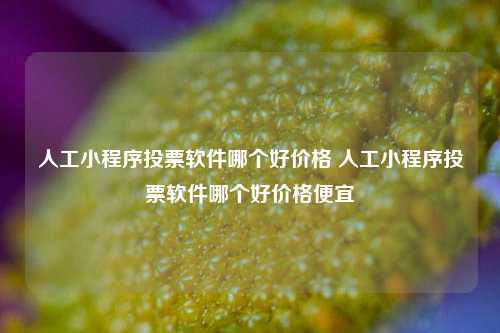 人工小程序投票软件哪个好价格 人工小程序投票软件哪个好价格便宜