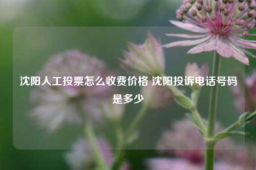 沈阳人工投票怎么收费价格 沈阳投诉电话号码是多少