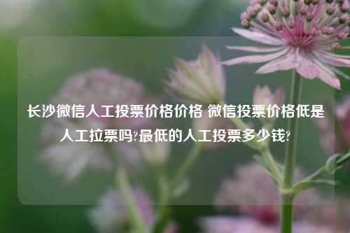 长沙微信人工投票价格价格 微信投票价格低是人工拉票吗?最低的人工投票多少钱?