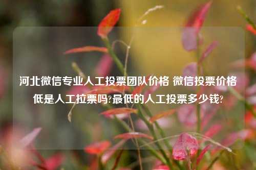 河北微信专业人工投票团队价格 微信投票价格低是人工拉票吗?最低的人工投票多少钱?