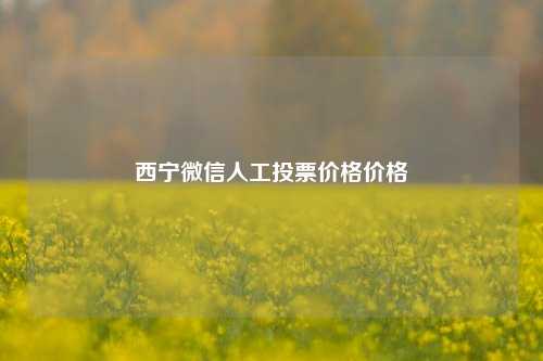 西宁微信人工投票价格价格