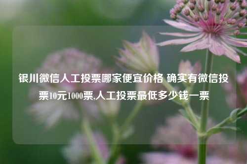 银川微信人工投票哪家便宜价格 确实有微信投票10元1000票,人工投票最低多少钱一票