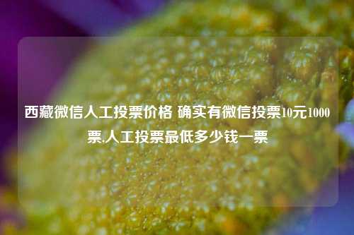 西藏微信人工投票价格 确实有微信投票10元1000票,人工投票最低多少钱一票