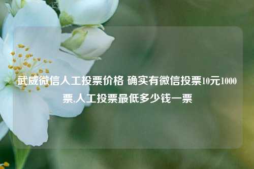 武威微信人工投票价格 确实有微信投票10元1000票,人工投票最低多少钱一票