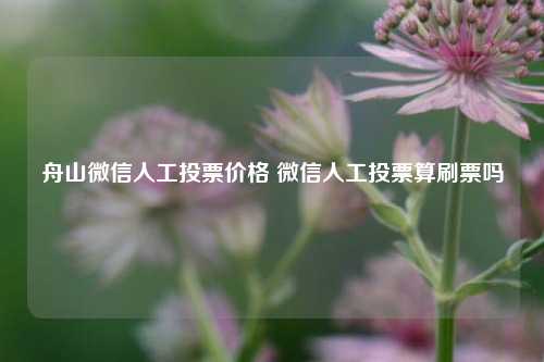 舟山微信人工投票价格 微信人工投票算刷票吗