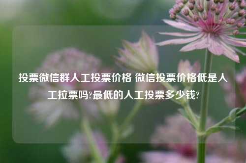 投票微信群人工投票价格 微信投票价格低是人工拉票吗?最低的人工投票多少钱?