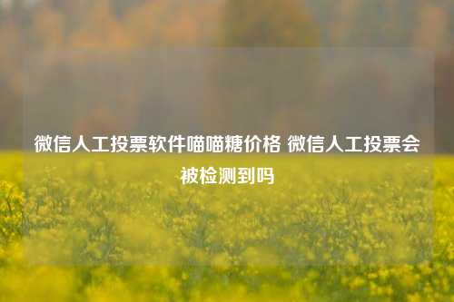 微信人工投票软件喵喵糖价格 微信人工投票会被检测到吗