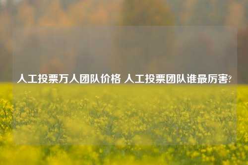 人工投票万人团队价格 人工投票团队谁最厉害?