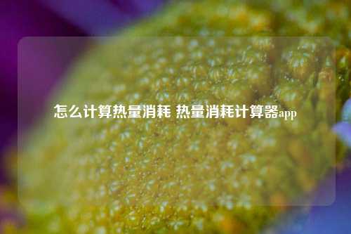 怎么计算热量消耗 热量消耗计算器app