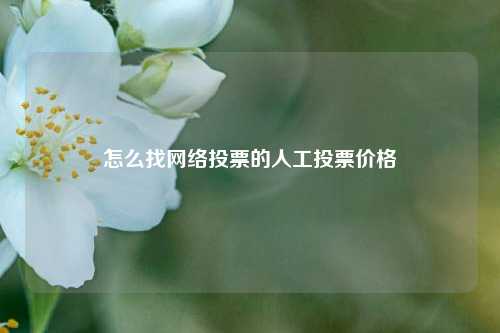 怎么找网络投票的人工投票价格