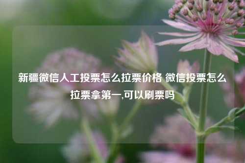 新疆微信人工投票怎么拉票价格 微信投票怎么拉票拿第一,可以刷票吗