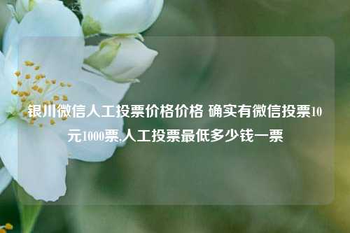 银川微信人工投票价格价格 确实有微信投票10元1000票,人工投票最低多少钱一票