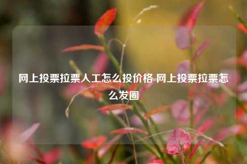 网上投票拉票人工怎么投价格 网上投票拉票怎么发圈