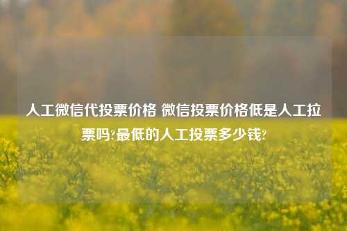 人工微信代投票价格 微信投票价格低是人工拉票吗?最低的人工投票多少钱?