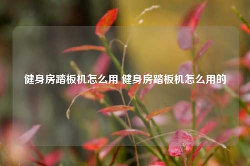 健身房踏板机怎么用 健身房踏板机怎么用的