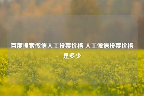 百度搜索微信人工投票价格 人工微信投票价格是多少