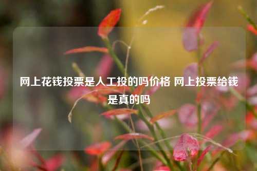 网上花钱投票是人工投的吗价格 网上投票给钱是真的吗