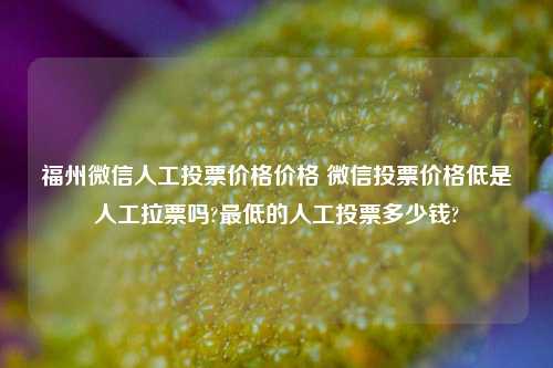 福州微信人工投票价格价格 微信投票价格低是人工拉票吗?最低的人工投票多少钱?