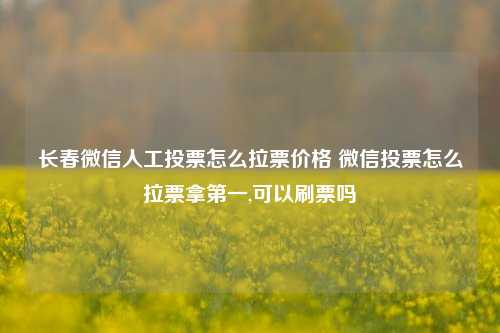 长春微信人工投票怎么拉票价格 微信投票怎么拉票拿第一,可以刷票吗