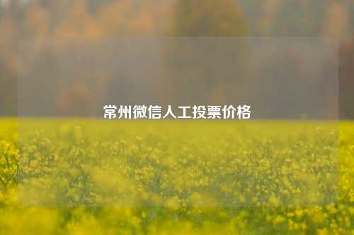 常州微信人工投票价格