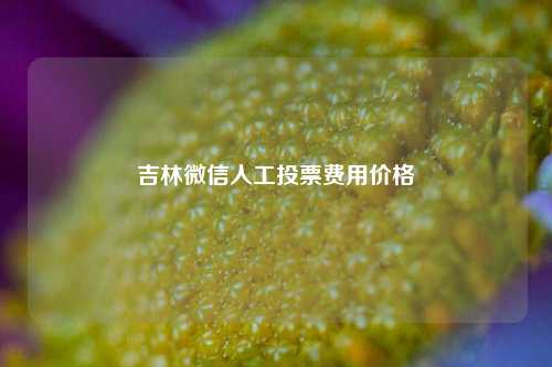 吉林微信人工投票费用价格