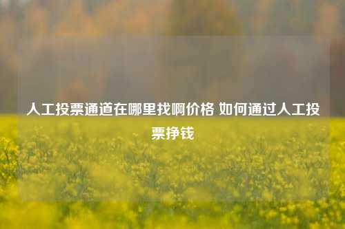 人工投票通道在哪里找啊价格 如何通过人工投票挣钱