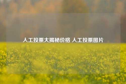 人工投票大揭秘价格 人工投票图片