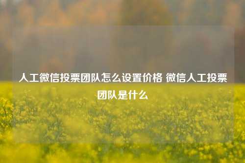 人工微信投票团队怎么设置价格 微信人工投票团队是什么