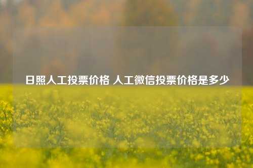 日照人工投票价格 人工微信投票价格是多少