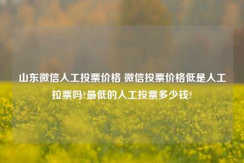 山东微信人工投票价格 微信投票价格低是人工拉票吗?最低的人工投票多少钱?