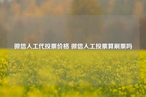 微信人工代投票价格 微信人工投票算刷票吗