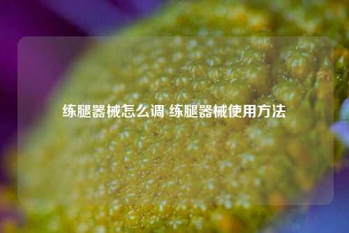 练腿器械怎么调 练腿器械使用方法