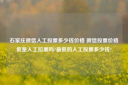 石家庄微信人工投票多少钱价格 微信投票价格低是人工拉票吗?最低的人工投票多少钱?