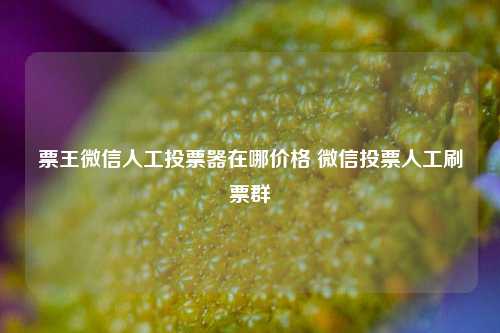 票王微信人工投票器在哪价格 微信投票人工刷票群