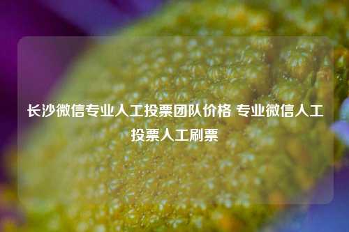 长沙微信专业人工投票团队价格 专业微信人工投票人工刷票