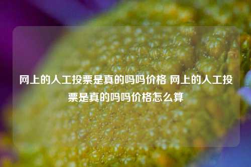 网上的人工投票是真的吗吗价格 网上的人工投票是真的吗吗价格怎么算