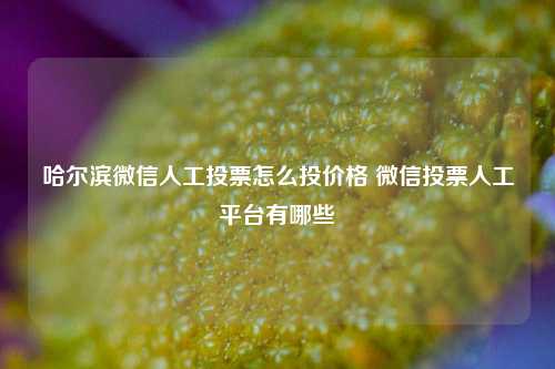 哈尔滨微信人工投票怎么投价格 微信投票人工平台有哪些