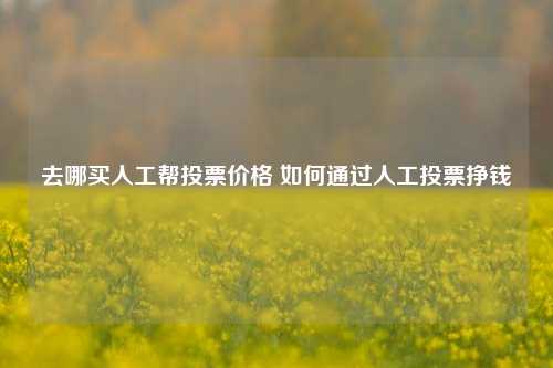 去哪买人工帮投票价格 如何通过人工投票挣钱