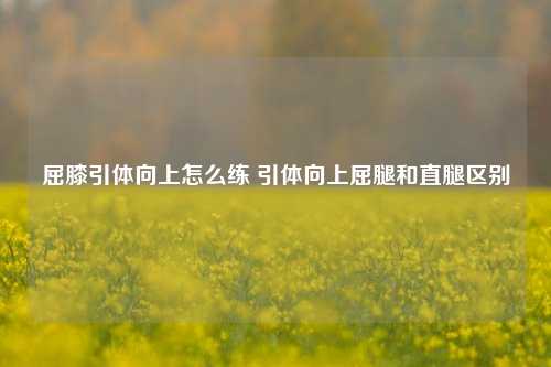 屈膝引体向上怎么练 引体向上屈腿和直腿区别