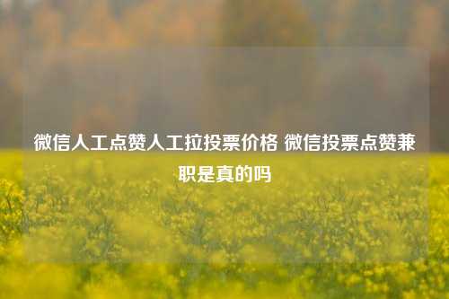 微信人工点赞人工拉投票价格 微信投票点赞兼职是真的吗