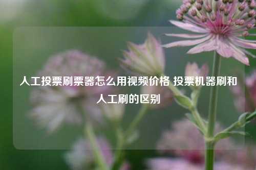 人工投票刷票器怎么用视频价格 投票机器刷和人工刷的区别