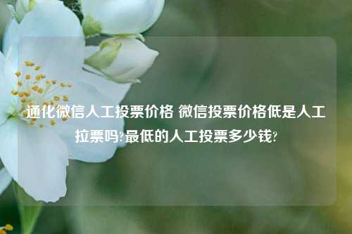 通化微信人工投票价格 微信投票价格低是人工拉票吗?最低的人工投票多少钱?