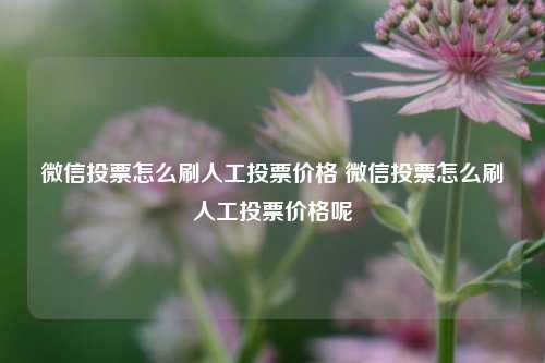 微信投票怎么刷人工投票价格 微信投票怎么刷人工投票价格呢