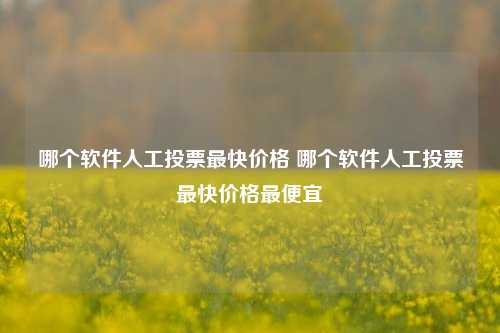 哪个软件人工投票最快价格 哪个软件人工投票最快价格最便宜