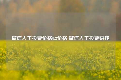 微信人工投票价格0.2价格 微信人工投票赚钱