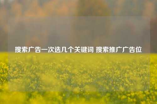 搜索广告一次选几个关键词 搜索推广广告位